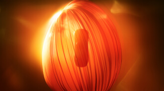 gallery01 thumbnail03